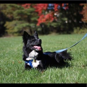 Meet your Posher, Elise